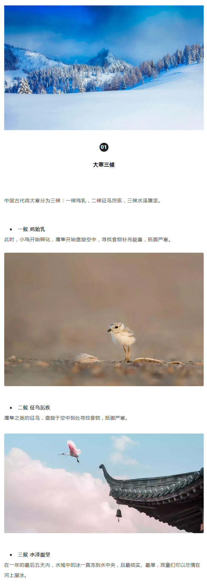 2022年（第5期）：大寒：愿您安暖幸福，歲歲平安_02