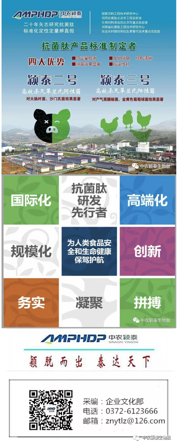 2022年（第5期）：大寒：愿您安暖幸福，歲歲平安_08