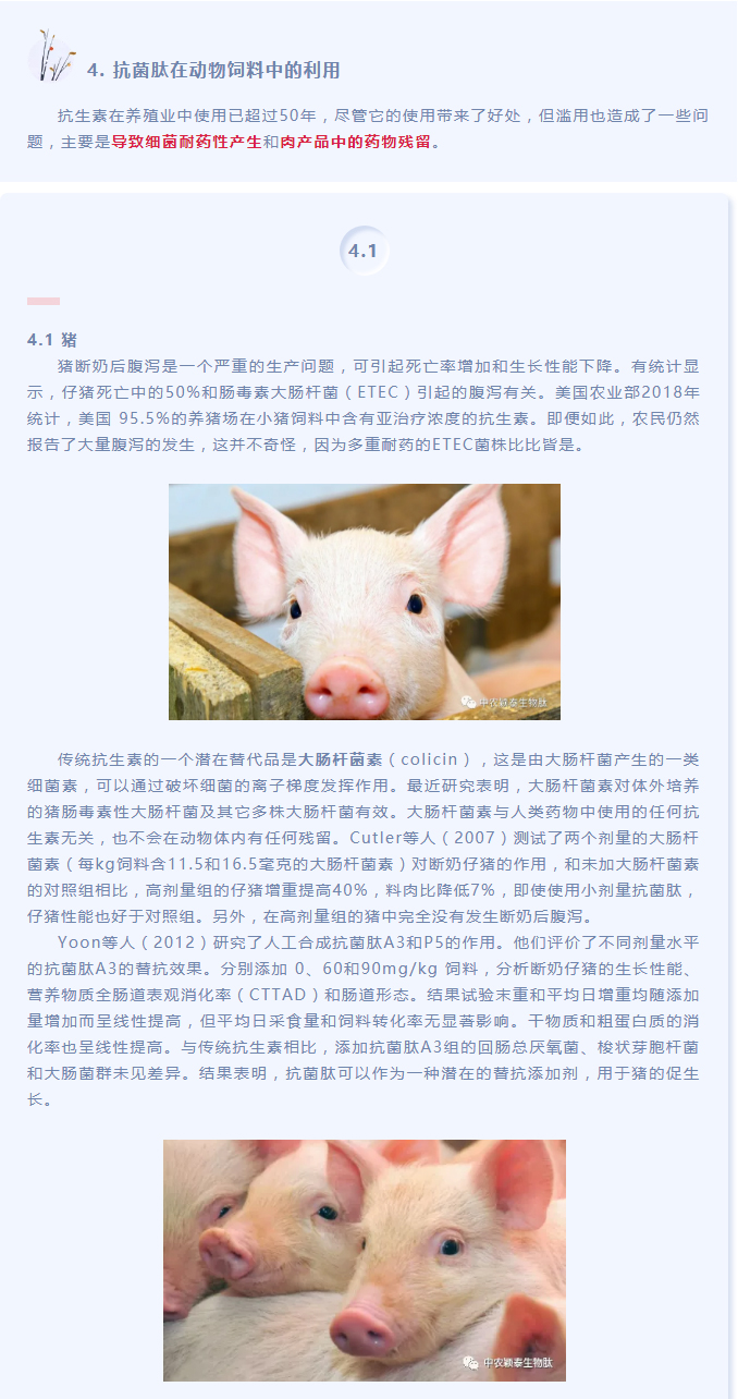 抗菌肽作為替抗飼料添加劑對動(dòng)物生產(chǎn)、食品安全和公共衛(wèi)生影響的綜述（下）_01