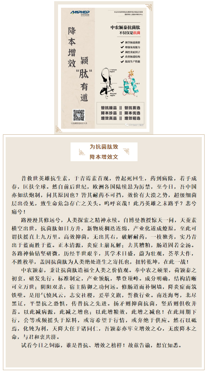降本增效，穎“肽”有道——抗菌肽降低飼料營養(yǎng)水平應(yīng)用方案_01