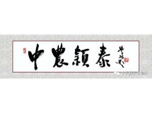 2021年：工作動態(tài)，中農穎泰工會順利換屆