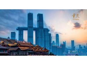 中農穎泰集團助力2021·太陽鳥論壇盛大開幕！
