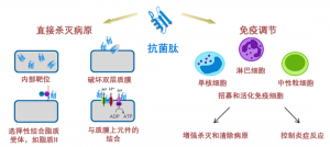泰倍健——新型免疫增強(qiáng)劑，構(gòu)建核心抗病力